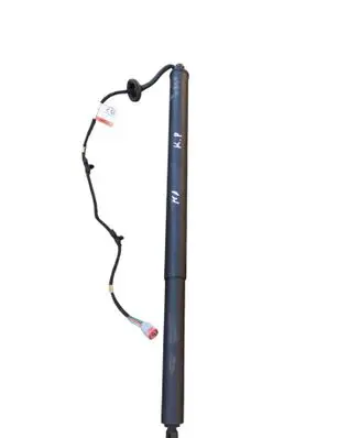Ford Kuga III Tailgate/trunk strut/damper LV4BS402A55AE LV4BS402A55