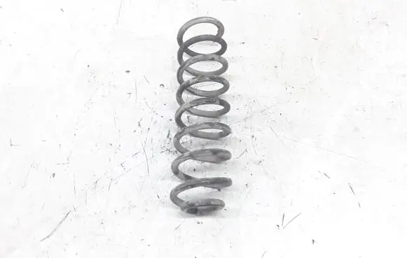 Renault Megane II Rear coil spring