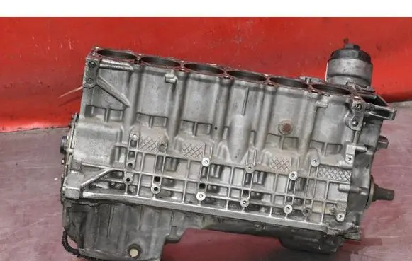 BMW 5 E39 Engine block 1436924C