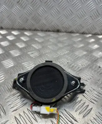 Panel speaker