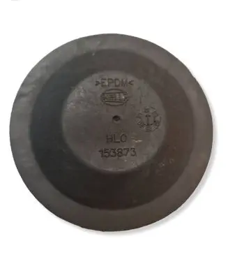Opel Vectra C Headlight/headlamp dust cover 153873