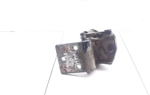 Jaguar XJ X40 Rear door lower hinge