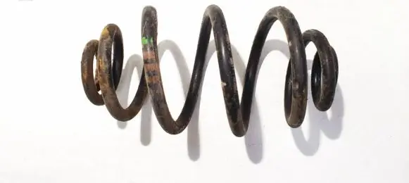 Volkswagen PASSAT B5.5 Rear coil spring
