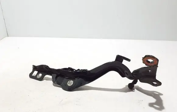 Ford Mach-E I Engine bonnet/hood hinges LJ8BR16C965AE