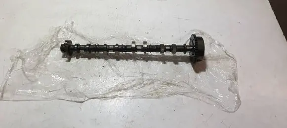 Camshaft pulley/ VANOS