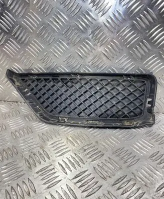 BMW X1 E84 Front bumper lower grill 51117303755