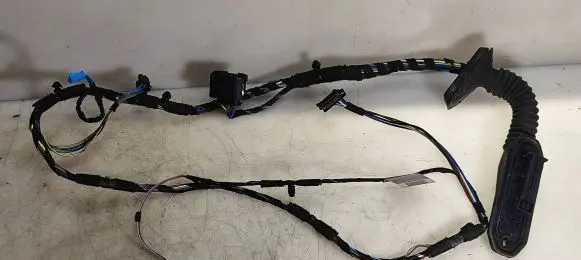 Front door wiring loom