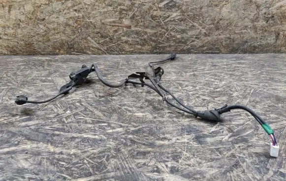 Lexus LS 460 - 600H Other wiring loom 8281930870