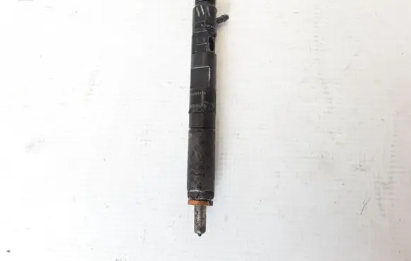 Renault Kangoo II Fuel injector 166000897R