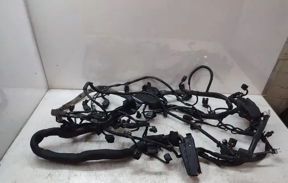 Mercedes-Benz R W251 Engine installation wiring loom A0005462480