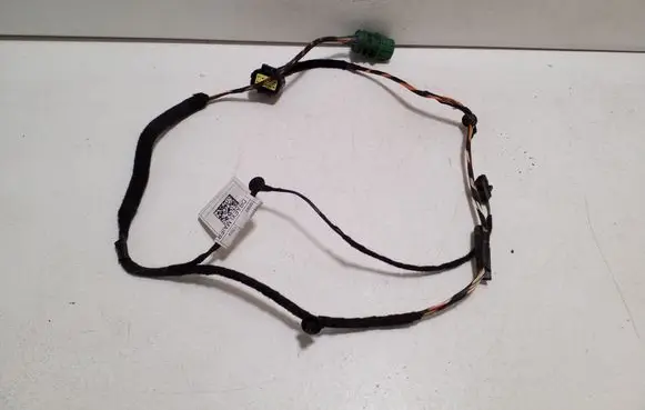 Rear door wiring loom