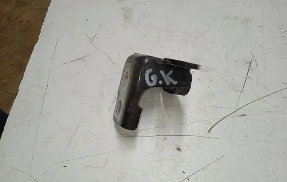 Renault Megane III Rear door upper hinge 804010016