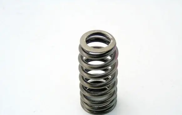 Volkswagen Golf VII Valve spring CXSSZGS1MS14260120