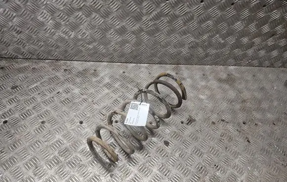 Rear coil spring