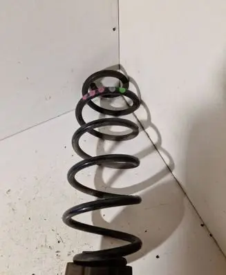 Rear coil spring
