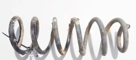 Rear coil spring