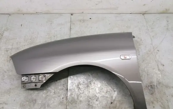 Seat Ibiza III (6L) Fender
