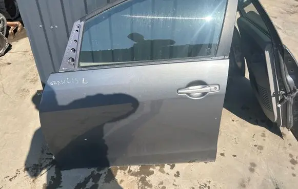 Mitsubishi Grandis Front door