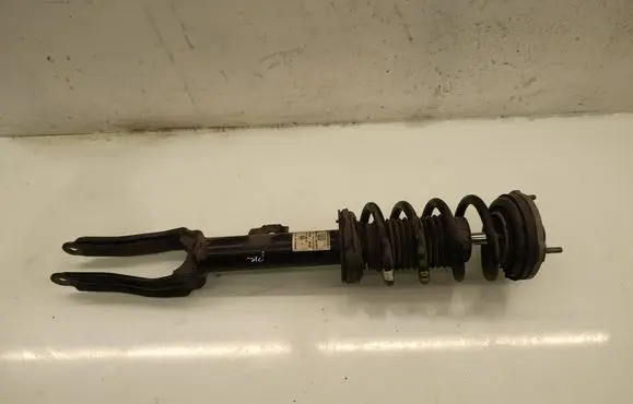Alfa Romeo Stelvio Front shock absorber with coil spring 50557504 V09FSDF07