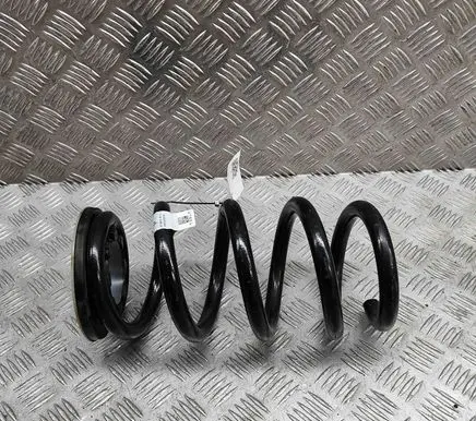 Tesla Model Y Rear coil spring 118847500D