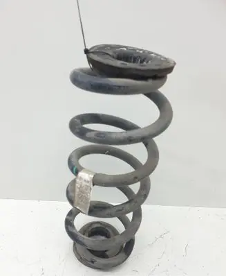 Chevrolet Volt II Rear coil spring 23306960 799117036