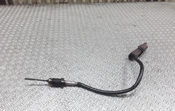 Citroen C5 Exhaust gas temperature sensor
