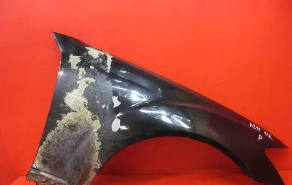 Mercedes-Benz S W221 Fender W221BLOTNIKPP
