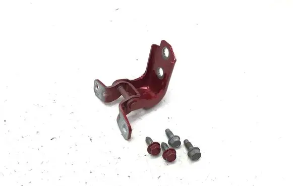 Rear door lower hinge