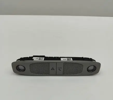 Tesla Model 3 Front seat light 109257299C