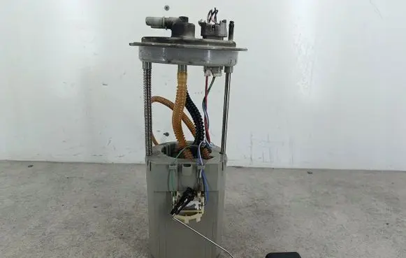Opel Antara In-tank fuel pump 96629371