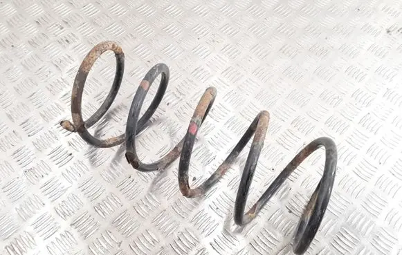 Front coil spring