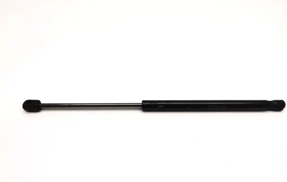 Tailgate strut
