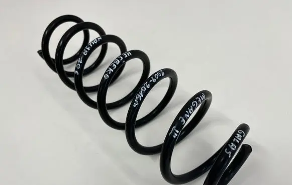 Renault Megane III Rear coil spring