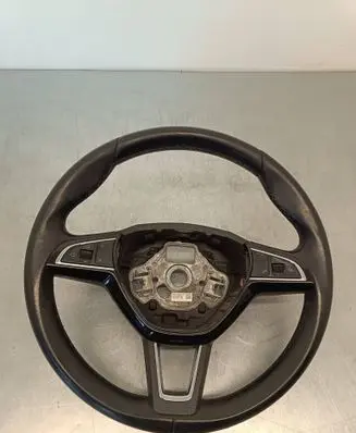 Skoda Yeti (5L) Steering wheel 5L0419091G 0060024345 308491399340