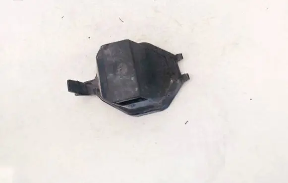 Volkswagen PASSAT B4 Headlight/headlamp dust cover 14199500 141995-00