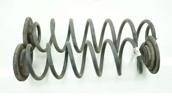 Rear coil spring