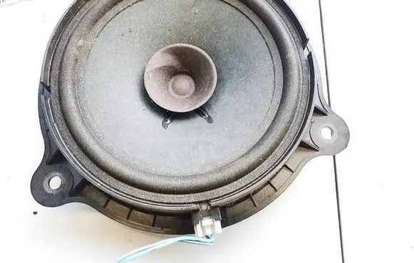 Front door speaker