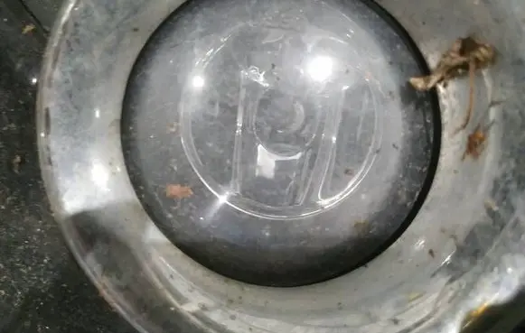 Peugeot 207 Front fog light