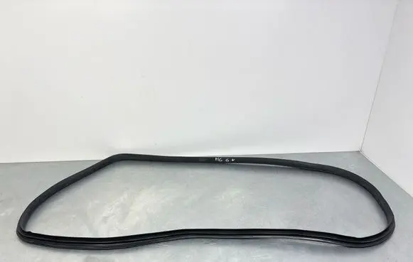 MG ZS Rear door rubber seal (on body) 18229798