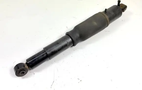 Cadillac Escalade Rear shock absorber/damper 10GM822A