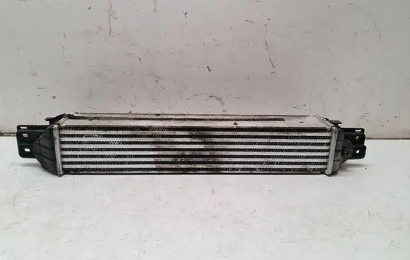 Opel Antara Intercooler radiator 622155 96629070