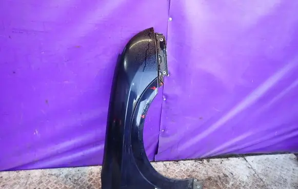 Opel Signum Fender