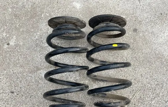 Rear coil spring