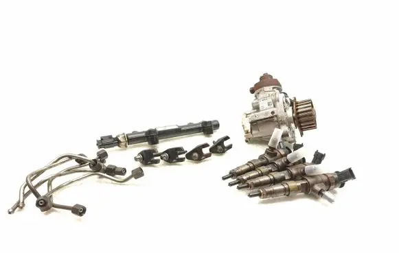Citroen C4 II Picasso Fuel injection system set 9688499680 0445010516 0445110340