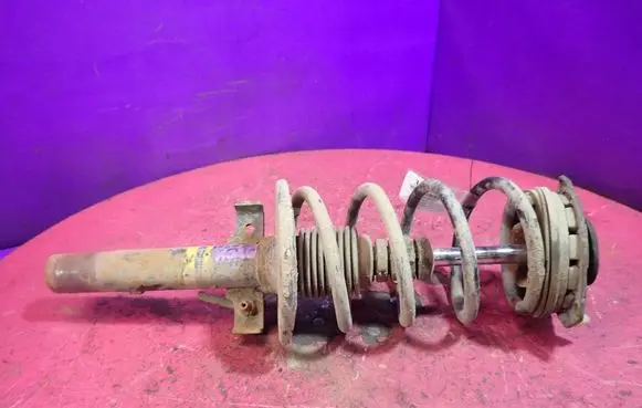 Renault Megane II Front shock absorber with coil spring