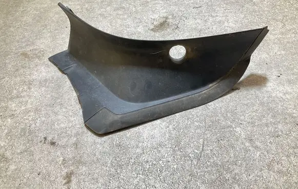 Rear/tail light trim molding
