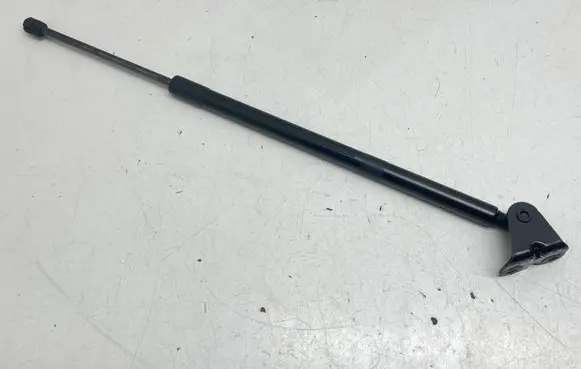 Ford Escape IV Rear shock absorber/damper LJ6BS406A11AE