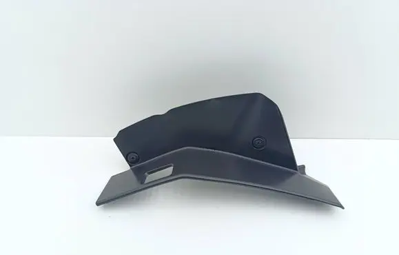 Rear/tail light trim molding