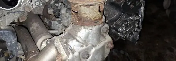 EGR valve