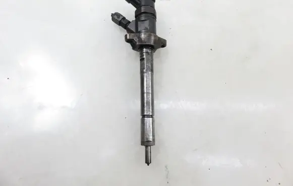 Peugeot Partner Fuel injector 0445110311